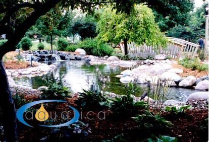 Aquatica